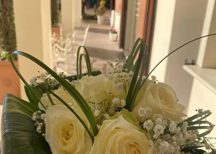 Boutique San Giovanni San Giovanni in Persiceto