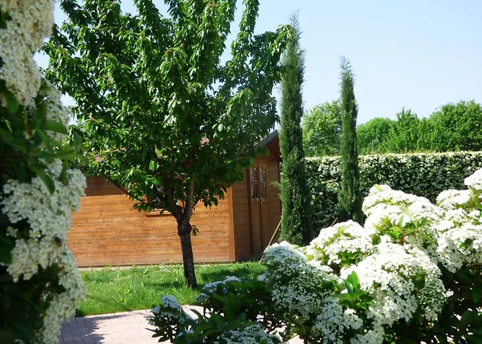 Boutique San Giovanni Ξενοδοχείο San Giovanni in Persiceto