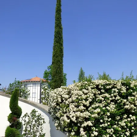 酒店 Boutique San Giovanni 圣乔瓦尼·因皮尔斯